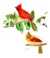 Cardinals