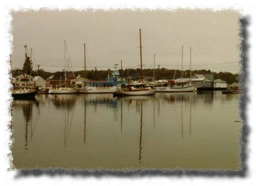 A Harbor in Maine