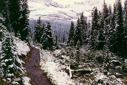 The Canadian Rockies