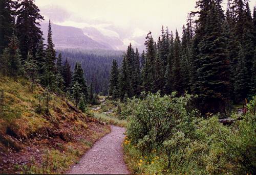 The Canadian Rockies