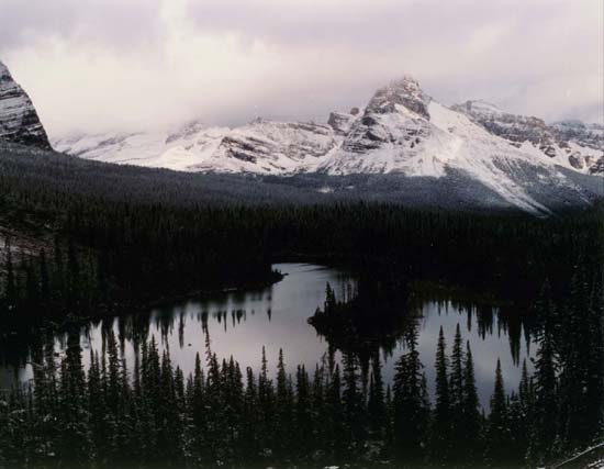 The Canadian Rockies