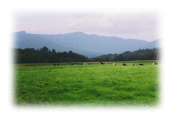 Stowe, Vermont