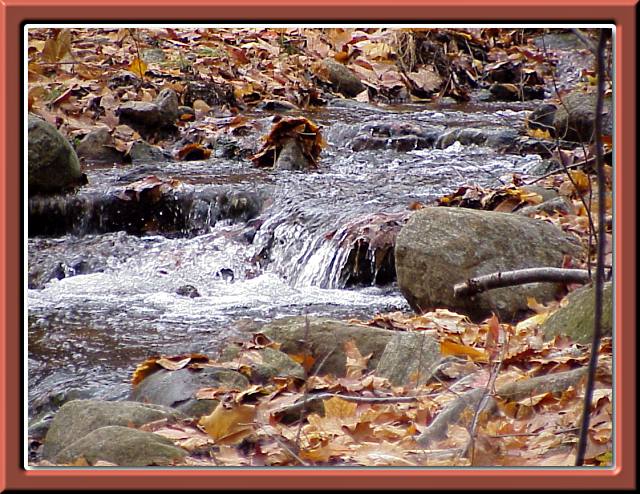 Falling Water