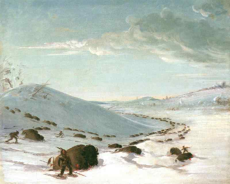 Buffalo Chase in Winter,