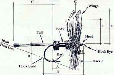 fishign fly