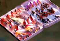 fly fishig box