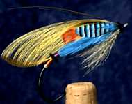 fishign fly