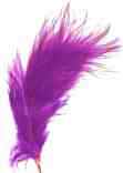 magic feather