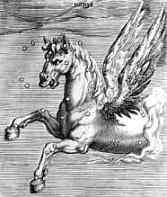 pegasus