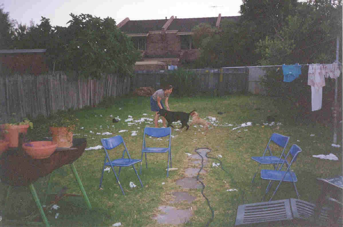 oldbackyard.jpg