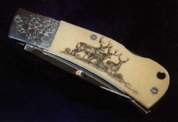 Deer on Pocket Knife