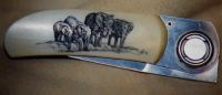 Elephants on Pocket Knife