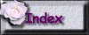 Index button