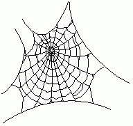 spiderweb gif file