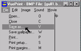 picture of file menu and save as