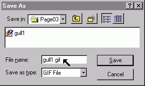 saving bmp file as a gif file