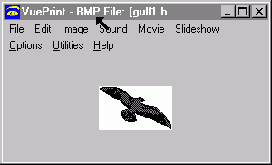 bmp file is still being shown