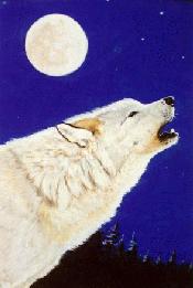 white wolf and moon