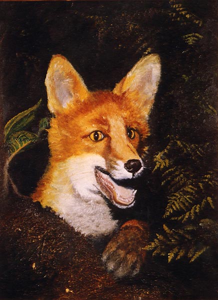 Fox