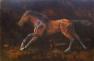 Chestnut horse