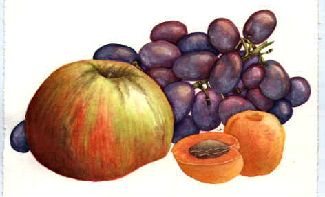 Apples and Grapes