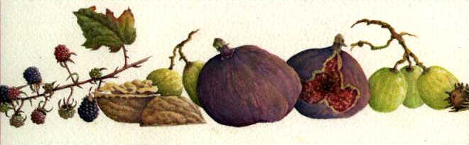 Figs