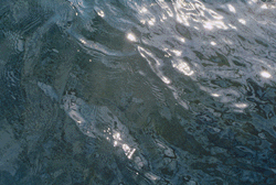 Water surface #1