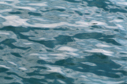 Water surface #2