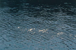 Water surface #4