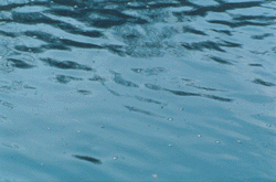 Water surface #8