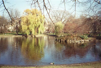 Boston Common