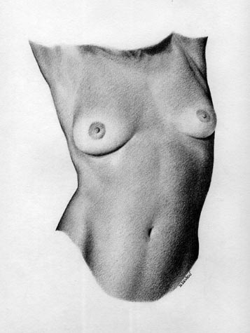 Female Torso