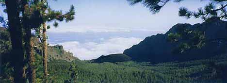 El Teide II