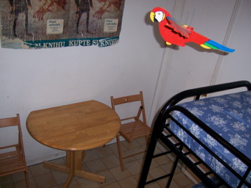 small table and parrot