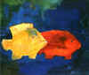 fish in yellow and red