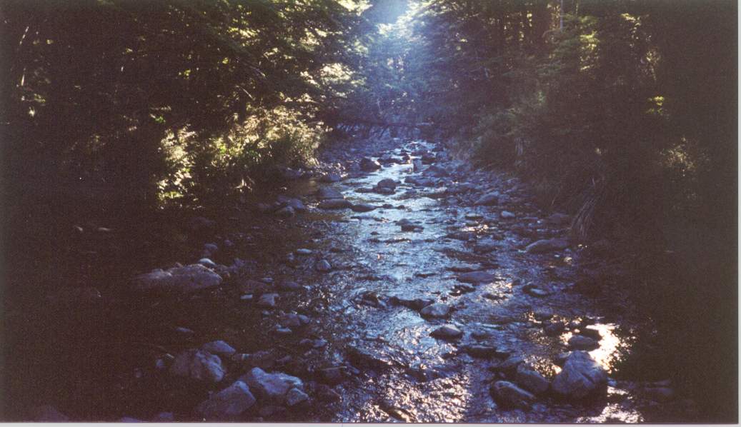 A river en route to Devil's Pass