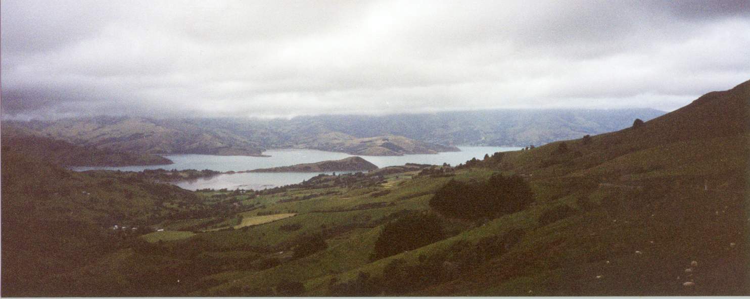 On the Road to Akaroa.