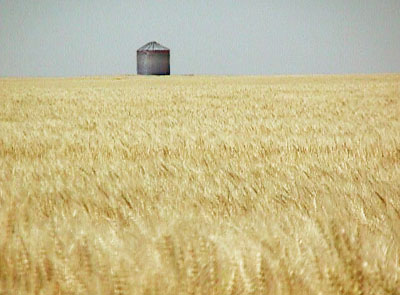 Wheat bin JPG