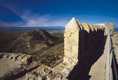 Castell de Montgr