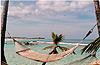 Hammock, Blue Lagoon Island, Bahamas