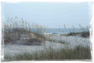 Huntington Beach State Park, South Carolina