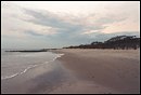 Beach at Pawley's Island