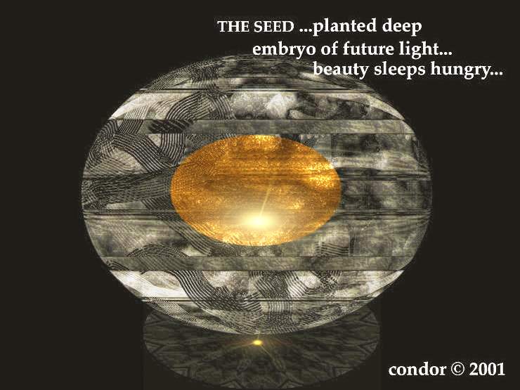 [seed]