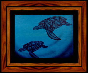 Sea Turtles