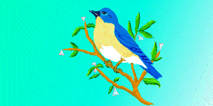 BLUEBIRD