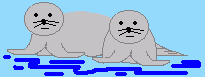 SEALS