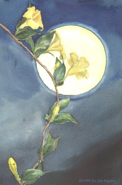 Honeysuckle Moon