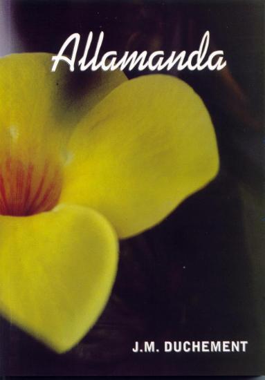 allamanda