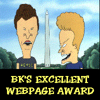 BK's Excellence Webpage Award