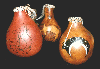 Gourd Group 2